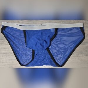 Blue Mesh Underwear Bikini